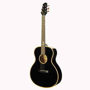 G20 Acoustic Guitar