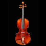 Ming Jiang Zhu MJ-900 "Premium Master" Violin, 4/4 - top