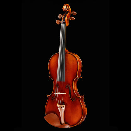 Ming Jiang Zhu MJ-900 "Premium Master" Violin, 4/4 - 3d view