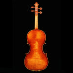 Ming Jiang Zhu MJ-900 "Premium Master" Violin, 4/4 - back