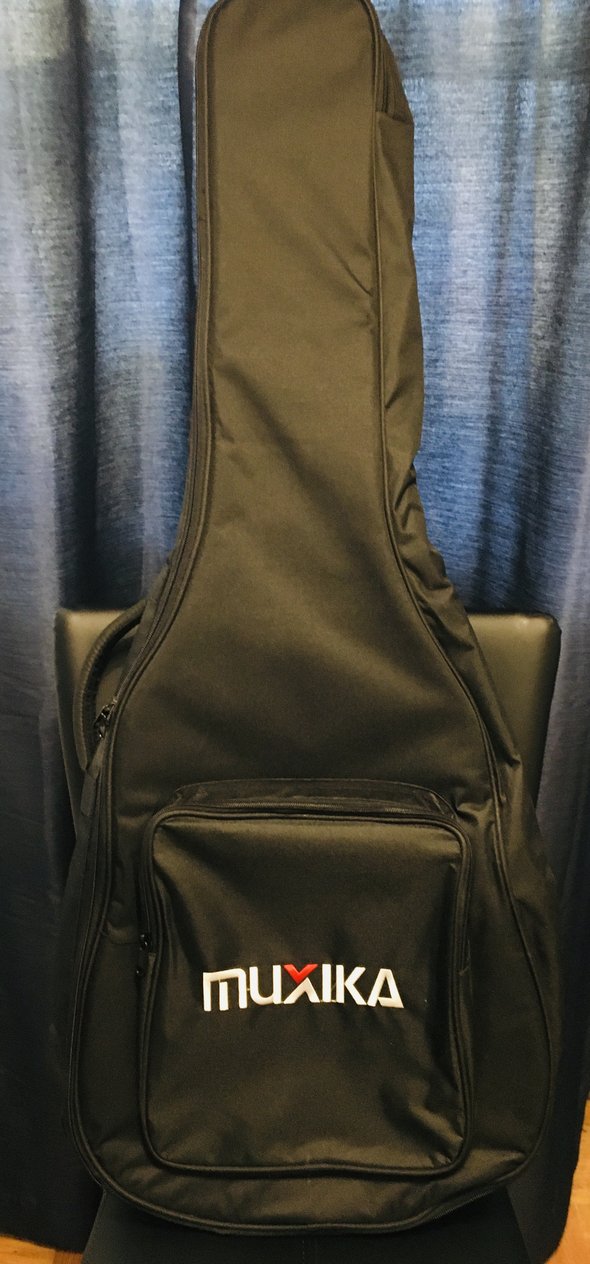 guitar bag