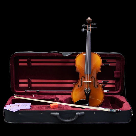 Viola and a bow in a viola case