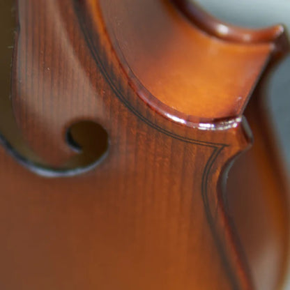 A part of a viola
